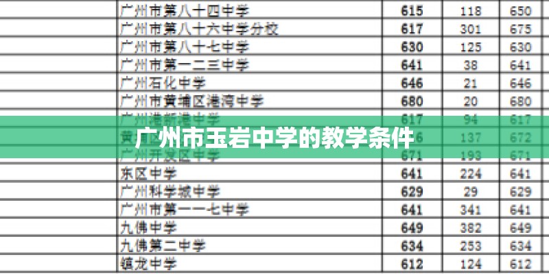 办公室寓意好的大型绿植