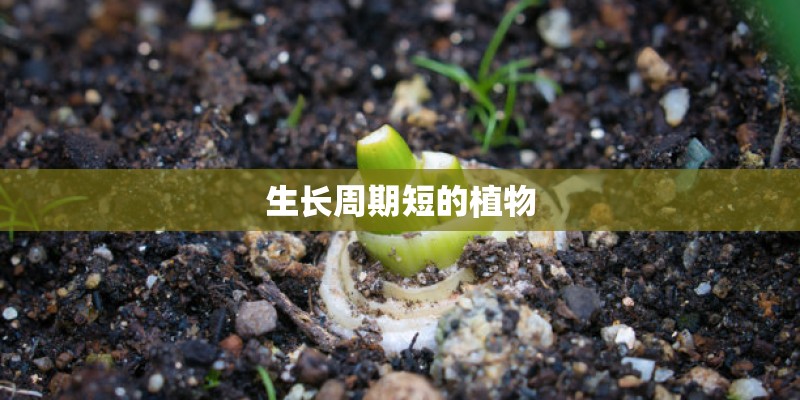 凯迪拉克ct5 汽车之家