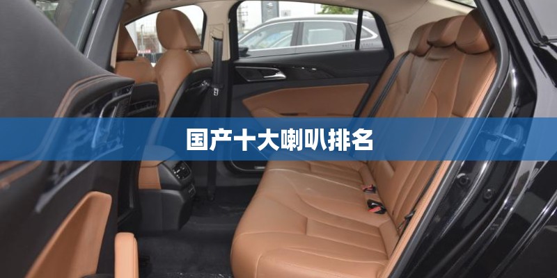 国产十大喇叭排名