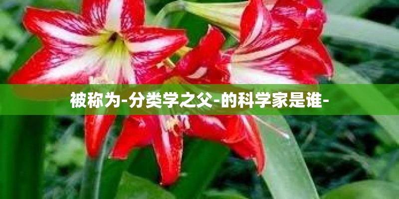 济宁天气济宁天气预报15天
