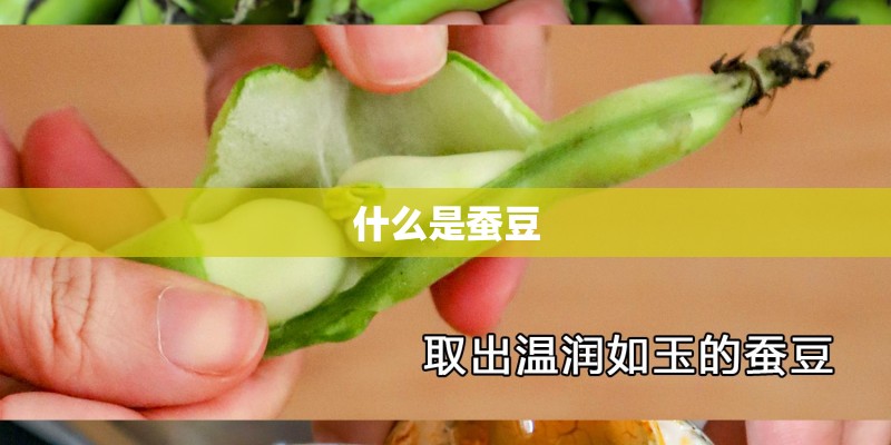 什么是蚕豆