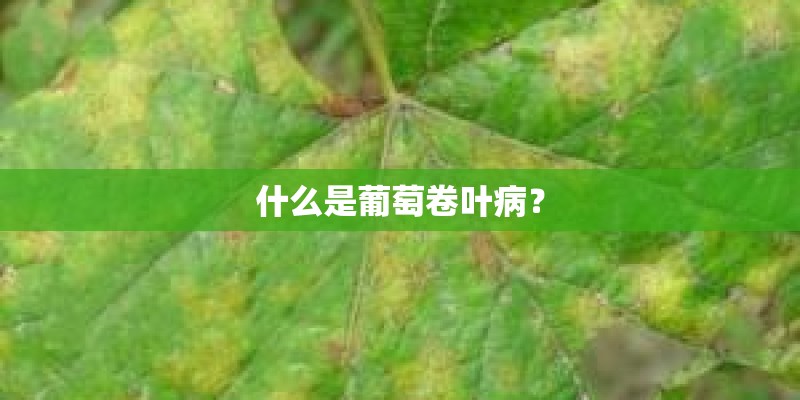 聊城市公租房怎样申请