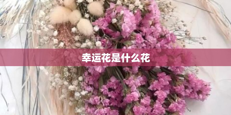 洛阳一小区围墙因暴雨发生坍塌 暴雨会毁坏房子吗_1