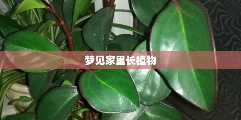 铃木北斗星x5报价
