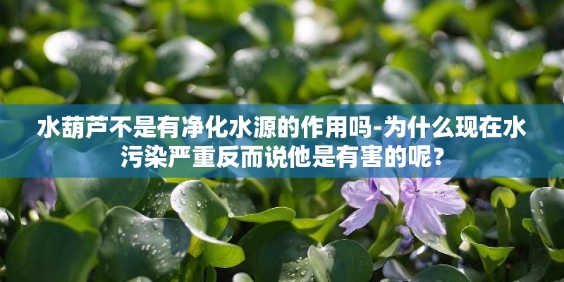洛阳一小区围墙因暴雨发生坍塌 暴雨会毁坏房子吗_1