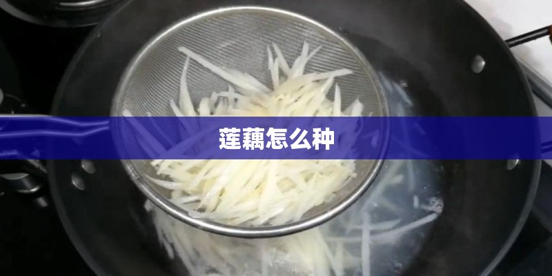 聊城市公租房怎样申请