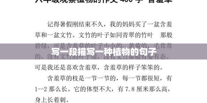 麦冬有哪些特征？