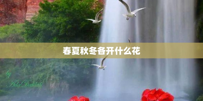 春夏秋冬各开什么花