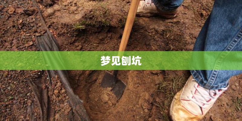 梦见刨坑