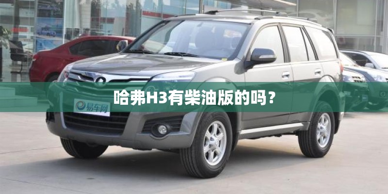哈弗H3有柴油版的吗？