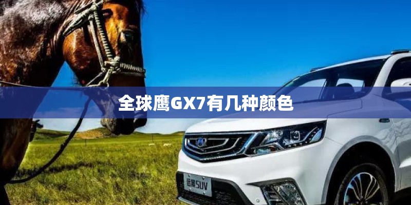 全球鹰GX7有几种颜色