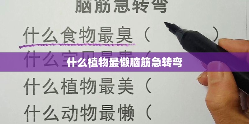 什么植物最懒脑筋急转弯
