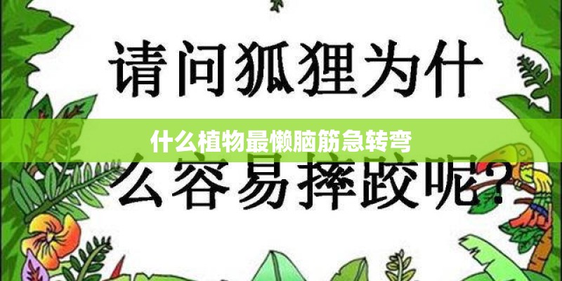 什么植物最懒脑筋急转弯