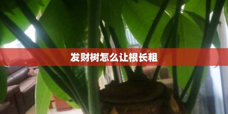 半妖倾城恋歌简谱