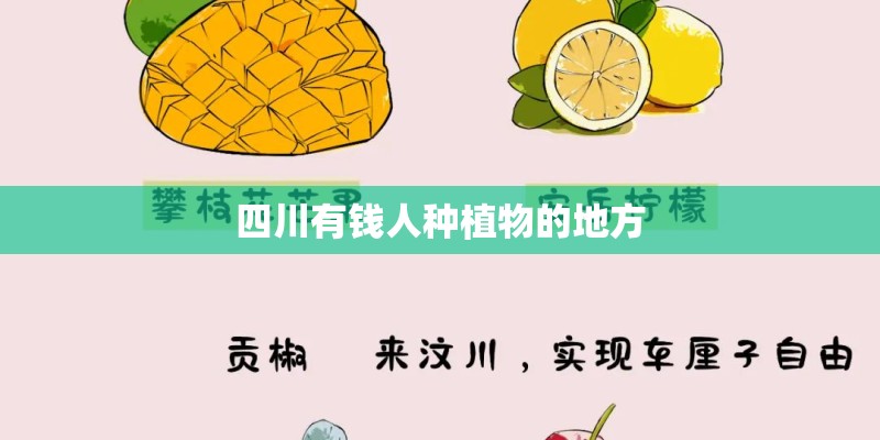 什么植物最懒脑筋急转弯