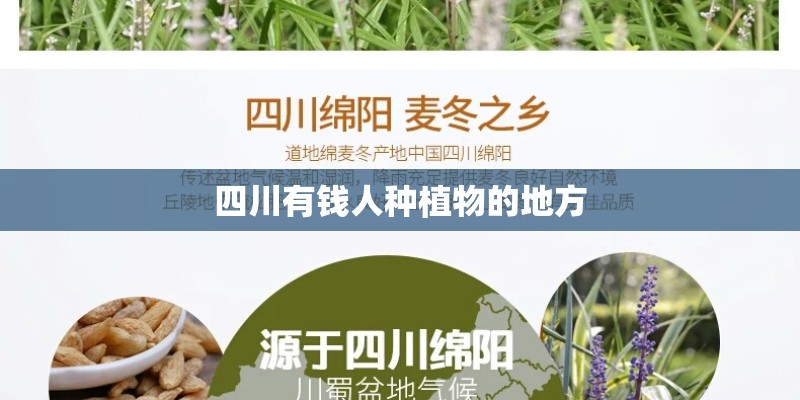 四川有钱人种植物的地方