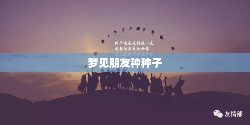 如何种植一片高品质的花园草地？
