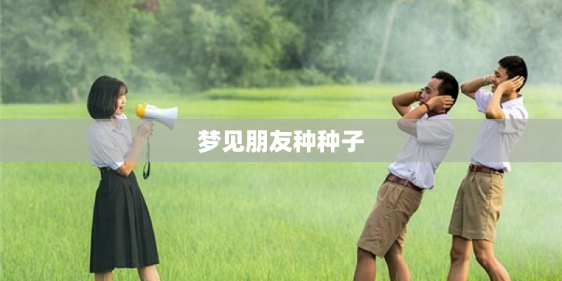 梦见朋友种种子