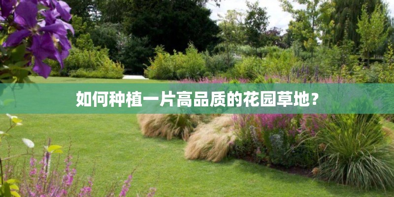 如何种植一片高品质的花园草地？