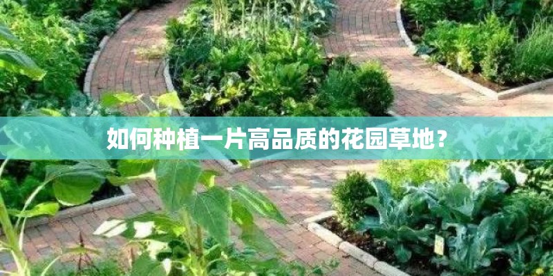 如何种植一片高品质的花园草地？