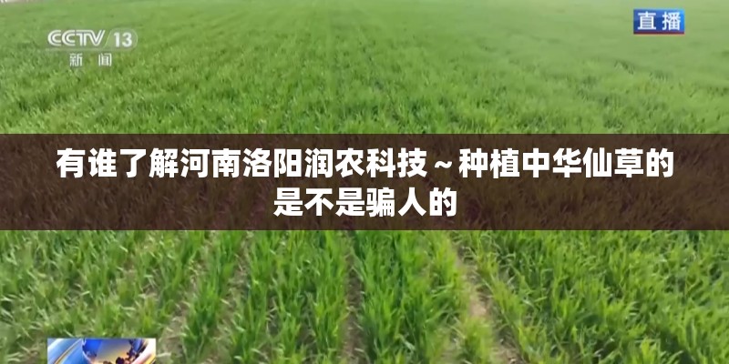 有谁了解河南洛阳润农科技～种植中华仙草的是不是骗人的