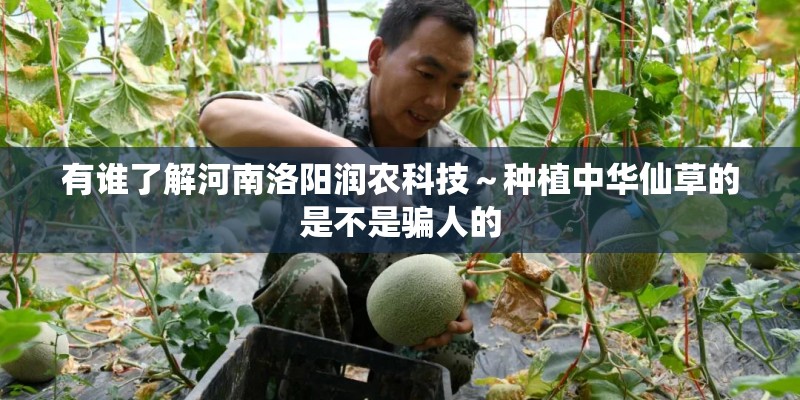 有谁了解河南洛阳润农科技～种植中华仙草的是不是骗人的