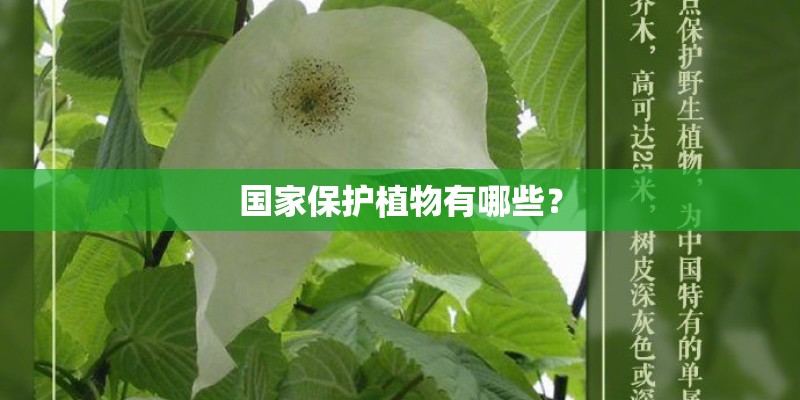 日照海边民宿哪家最好_1