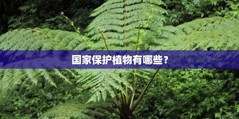 国家保护植物有哪些？