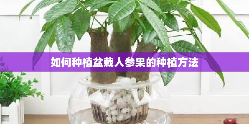 日照海边民宿哪家最好_1