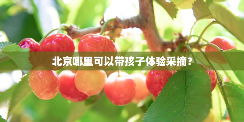 有谁了解河南洛阳润农科技～种植中华仙草的是不是骗人的