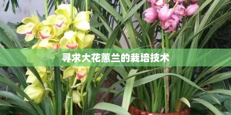 国家保护植物有哪些？